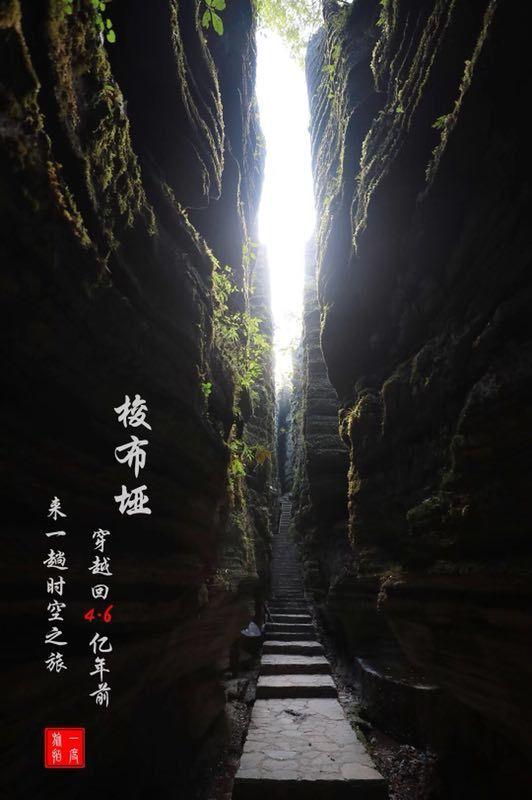 全省工贸行业安全生产标准化评审工作调研座谈现场会在泰山区召开