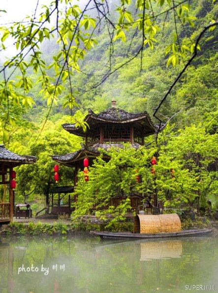 春雨直播app