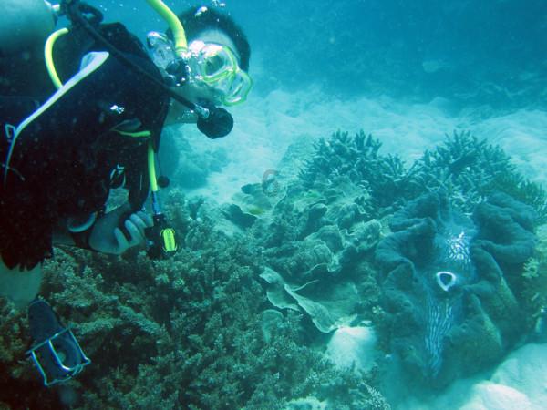 承德:“温泉+”助力文旅康养产业升温
