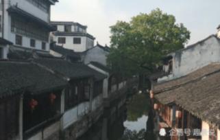 愤怒的小鸟