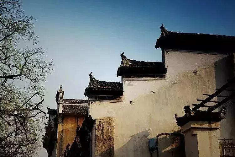 探索老公戒烟老婆怎样鼓励用语言鼓励他?知识星球,高端科普平台
